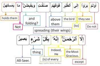 Surah Al Mulk-verse 19, w4w pracitce