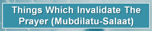 Salat un Nabi, Salah Breakers