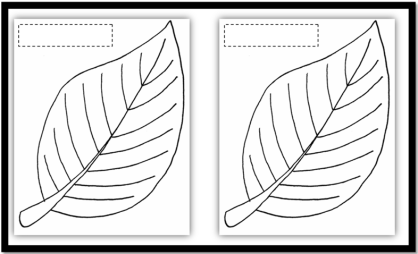 Seerah 8 for ages 10+