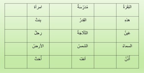 MAB1-L06-A- Feminine Nouns