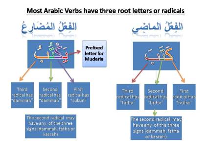 MAB2-Lesson 10 - الفِعلُ