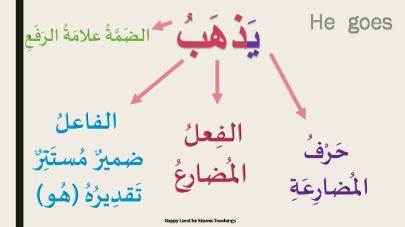 MAB2-Lesson 12 - المضارع- يذهب