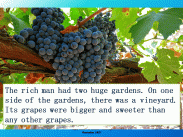 2-Owners of The Two Gardens