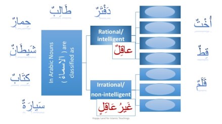 madinah-arabic-book-1-lesson-16-and-17-kullu-jama-muanath